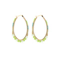 Hangoorbellen ovaal stainless steel groen
